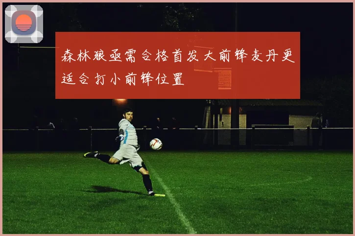 森林狼亟需合格首发大前锋麦丹更适合打小前锋位置
