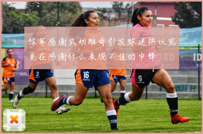 绿军感谢武切维奇引发球迷热议究竟在感谢什么表现不佳的中锋