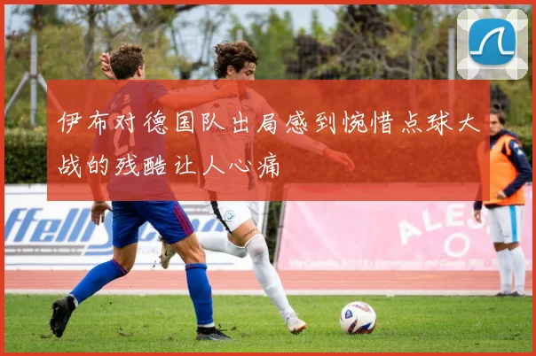 伊布对德国队出局感到惋惜点球大战的残酷让人心痛